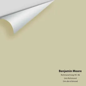 Benjamin Moore - Richmond Gray HC-96 Color Sample