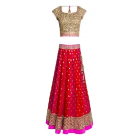 Bollywood inspired Lehenga Choli